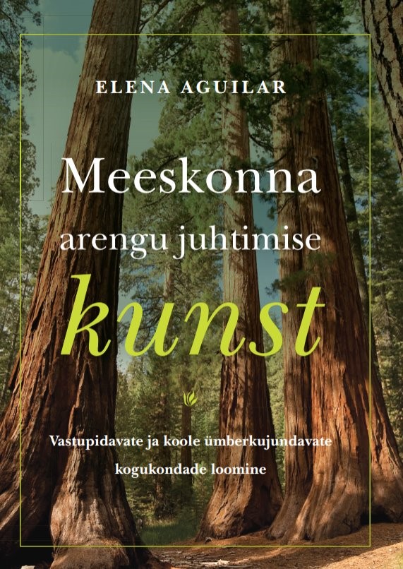 Meeskonna arengu juhtimise kunst raamatu kaanepilt.