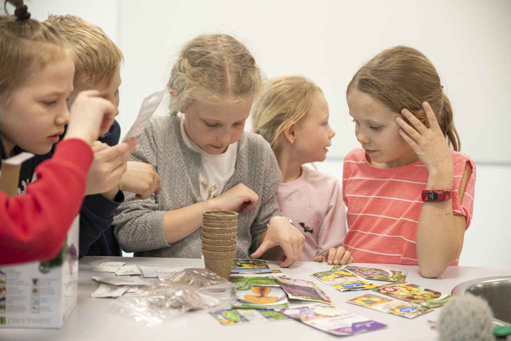 Children planting vegetables in classroom_Ministry of Education and Research - Aivo Kallas_4011262.JPG